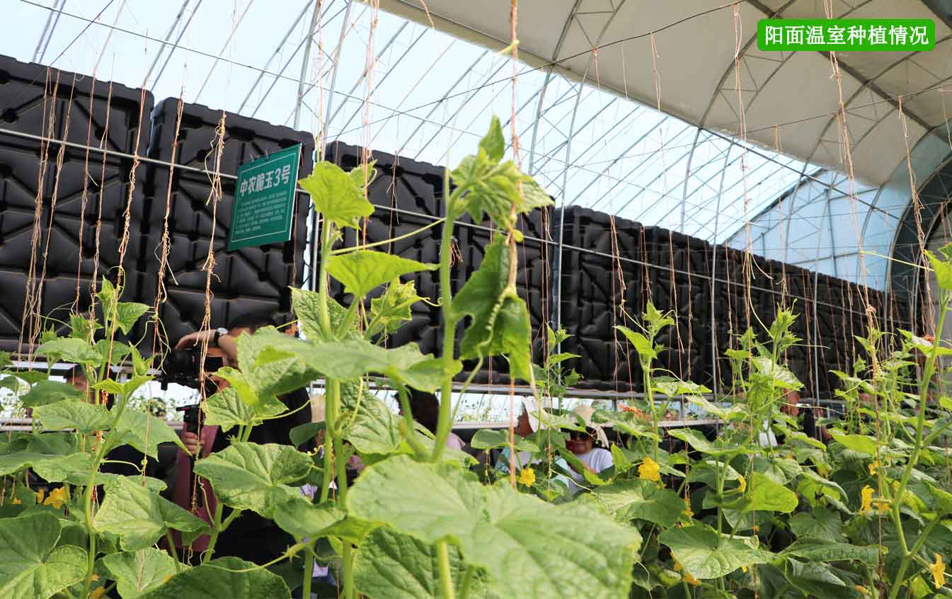 2、四季溫室網(wǎng)頁_12.jpg 2、四季溫室網(wǎng)頁_12.jpg