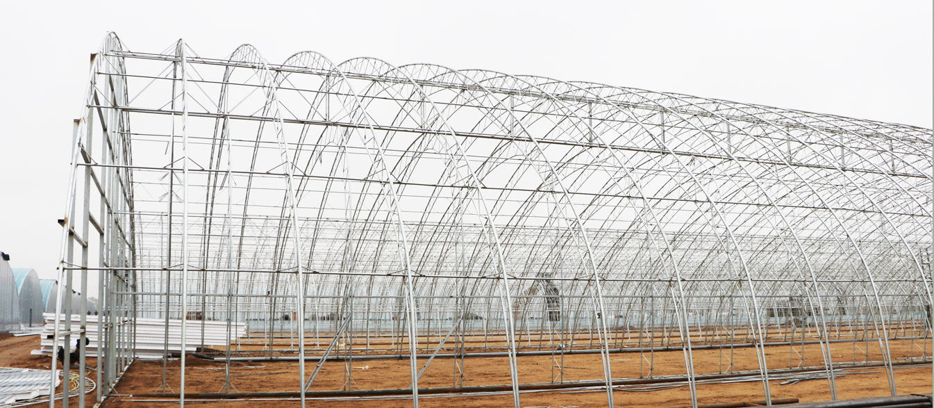 2、四季溫室網(wǎng)頁_16.jpg 2、四季溫室網(wǎng)頁_16.jpg